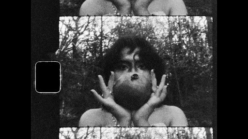 Green Violence - Vedika Kushalappa, Sacred Groves Video Still