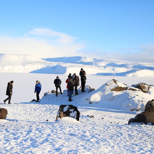 ADS4 field trip to Iceland, 2016