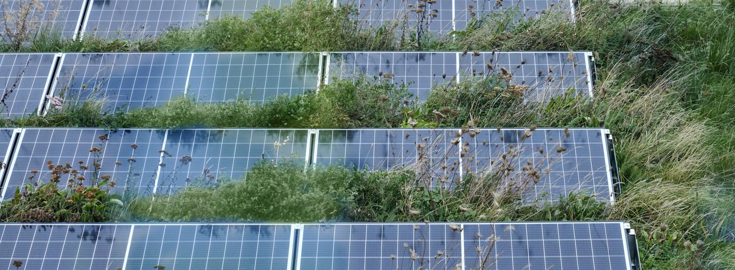 Solar panels and green roof at RCA Battersea