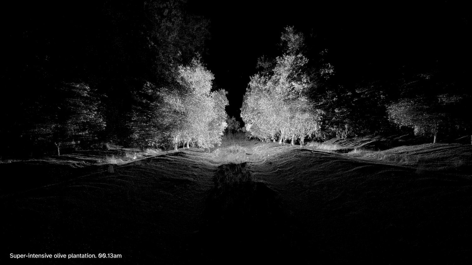 Will Tooze_After Hours_Film still 3