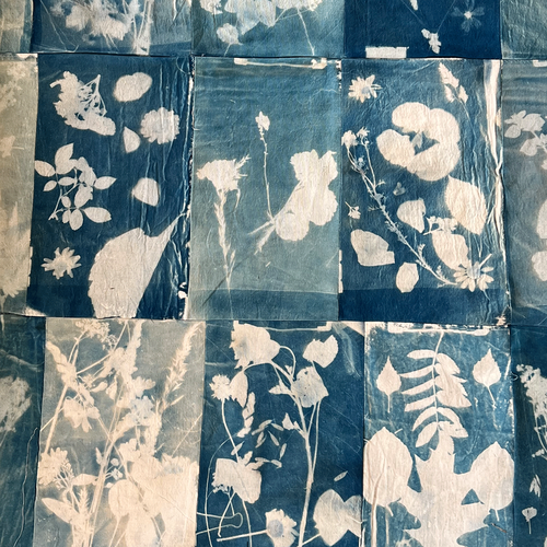 Making of a Meadow - cyanotype quilt, 2025. Made in collaboration with year 5 and 6 of Lady Joanna Thornhill Primary School