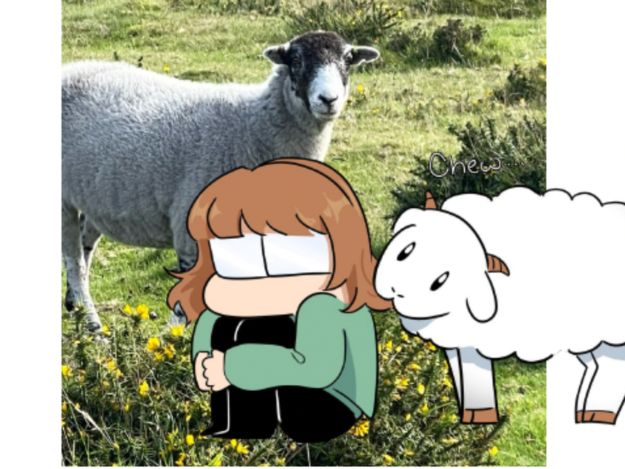 Photo of some sheep with a cartoon illustration
